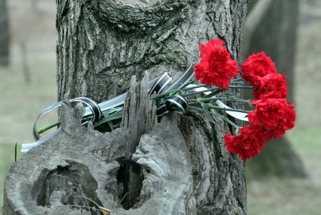 В Одессе почтили память воинов-интернационалистов (фото)