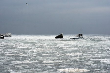 Сегодня, наконец, зима встретилась с весною (фоторепортаж)