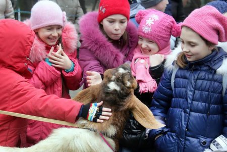 «День влюбленных животных» в зоопарке (фоторепортаж)