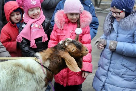 «День влюбленных животных» в зоопарке (фоторепортаж)