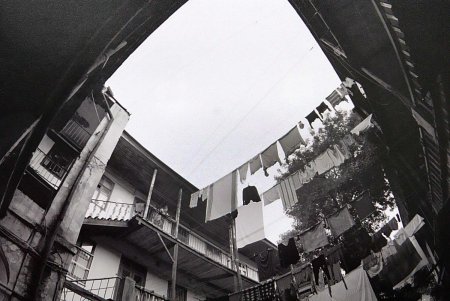 Уходящей натуре — одесскому двору — посвящается (фоторепортаж)