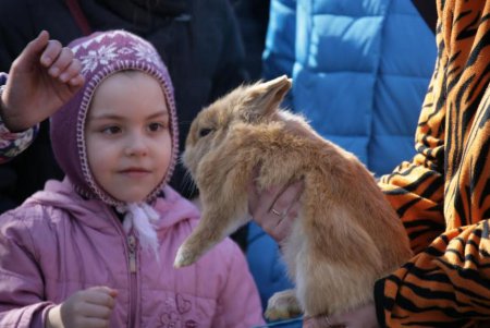 Одесский зоопарк «С любовью к дикой природе» (фоторепортаж) 