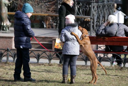 Мэрцишор пожелал одесситам: тепла, радости и успехов (фоторепортаж)