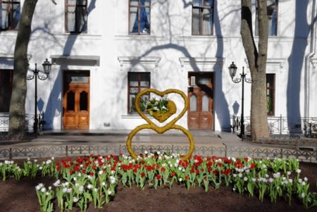 На главной клумбе Одессы распустились первые весенние тюльпаны (фото)