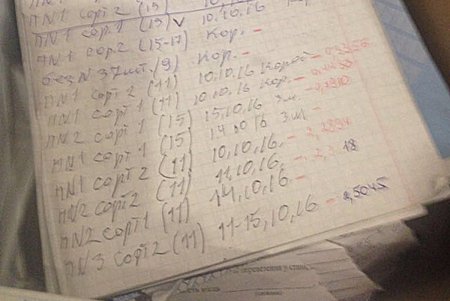 Лес в Одесской области рубят — количество обысков растет (фото)
