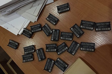 Лес в Одесской области рубят — количество обысков растет (фото)
