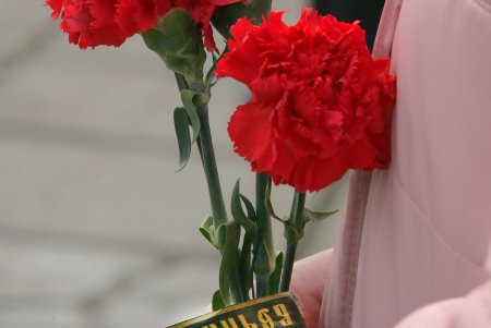 Одесса отмечает День добровольца (фоторепортаж)