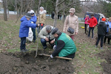 Парк Победы «омолодили» (фоторепортаж)