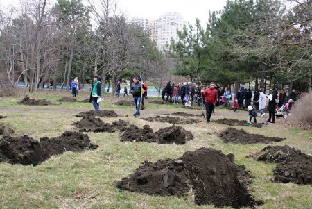 Парк Победы «омолодили» (фоторепортаж)