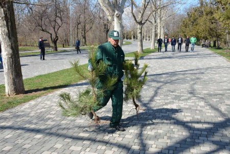 Центральный парк Одессы омолодился (фото)