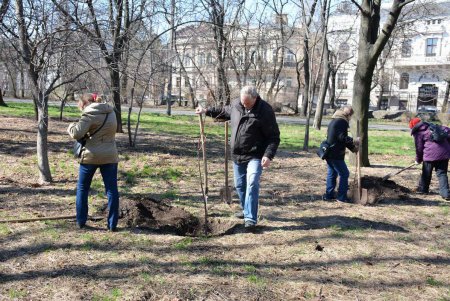 Центральный парк Одессы омолодился (фото)