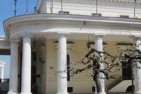 Реконструкция Воронцовского дворца  осуществится своевременно (фото)