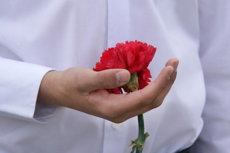 На Аллею Славы встал Почетный караул (фоторепортаж)