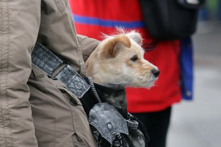35-я одесская «Велосотка» отправилась в исторический путь (фоторепортаж)