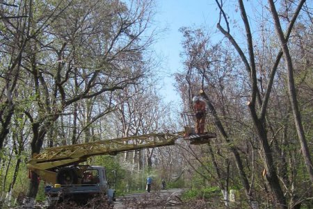 В Одессе приводят в порядок Трассу здоровья (фото)