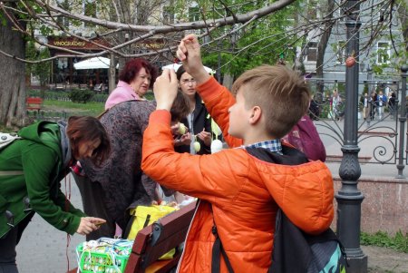 В одесском Горсаду дерево зацвело пасхальными крашенками (фото)