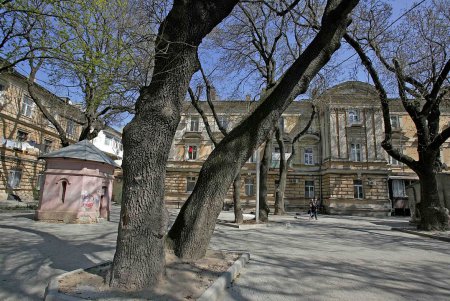 Знаменитые  исторические Павловские дома обрели деталь современности (фоторепортаж) 
