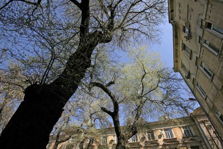 Знаменитые  исторические Павловские дома обрели деталь современности (фоторепортаж) 