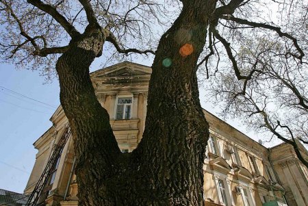 Знаменитые  исторические Павловские дома обрели деталь современности (фоторепортаж) 