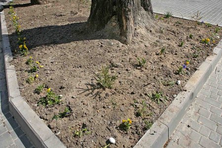 Знаменитые  исторические Павловские дома обрели деталь современности (фоторепортаж) 