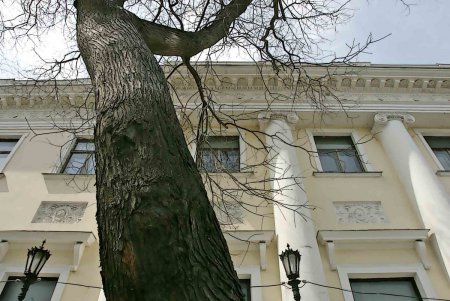 Воронцовский комплекс застыл в ожидании омоложения (фоторепортаж)