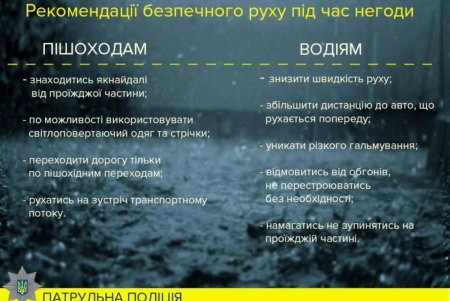 Патрульные просят горожан поберечь себя и свои автомобили (фото)