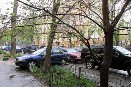 Дождь со снегом и ветром в центре Одессы: никакого коллапса! (фото)