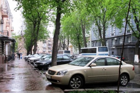 Дождь со снегом и ветром в центре Одессы: никакого коллапса! (фото)