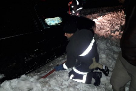 В Одесской области повалены десятки деревьев и обесточены 245 населенных пунктов (фото)