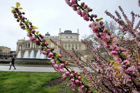 Одесский оперный в цветах (ностальгический фоторепортаж)