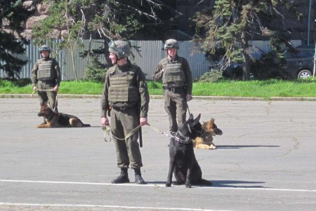 Губернатор Степанов проверил готовность силовиков к возможному обострению ситуации в Одессе (Фото)