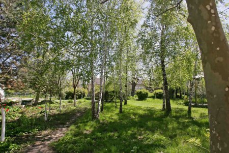 Сквер в Удельном переулке возрождается (фоторепортаж)