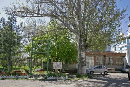 Сквер в Удельном переулке возрождается (фоторепортаж)