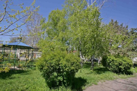 Сквер в Удельном переулке возрождается (фоторепортаж)