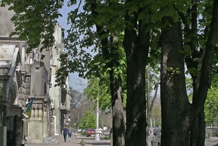 Фотопроменад по «Маразлиевской»
