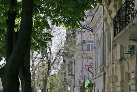 Фотопроменад по «Маразлиевской»