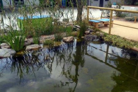 Европейские экологи  готовы помочь в создании специальной экотерритории в Одессе (фото)
