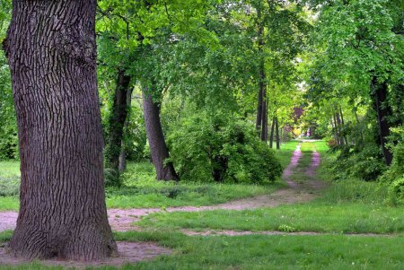 Место, красивее которого в мае в Одессе не найти (фоторепортаж)