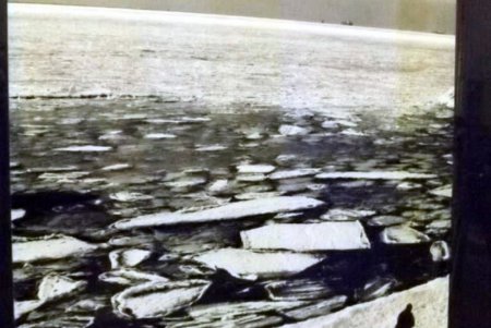 Все многообразие мира - в одном Фестивале фотоклубов (фото)