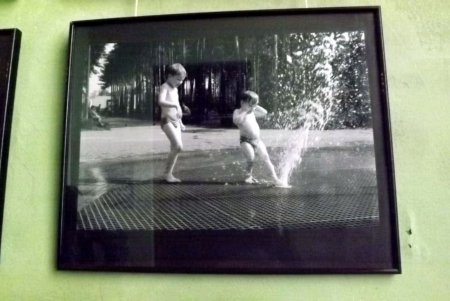 Все многообразие мира - в одном Фестивале фотоклубов (фото)