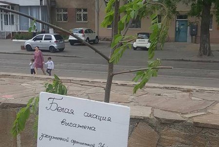 Белая акация украшает сцену и площадь одесской Музкомедии (фото)
