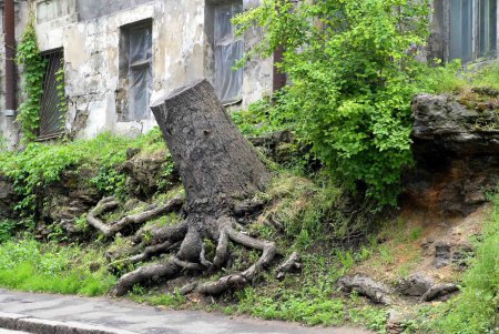 На Молдаванке есть свои вполне жилые «ласточкины гнезда» (фоторепортаж)