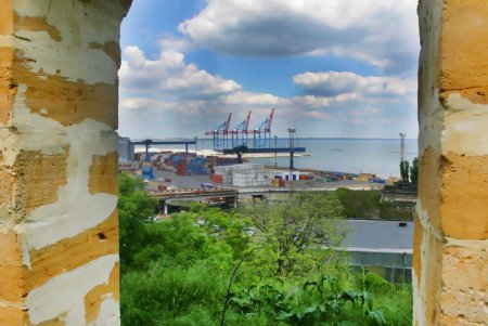 «Средневековая» достопримечательность  растет сегодня (фоторепортаж)