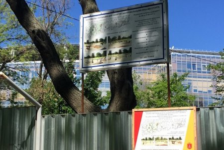 Парк культуры и отдыха станет еще и экстрим-парком (фото)