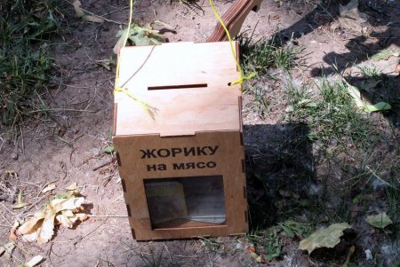 Одесский Горсад превратился в Страну счастливого детства (фото)