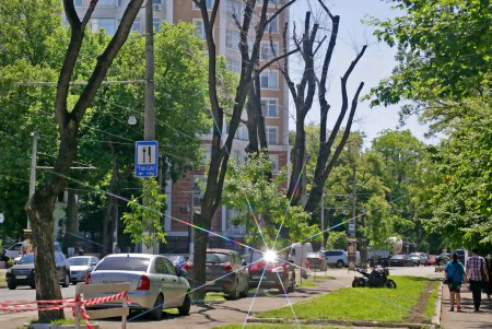 Французский бульвар переодевается и… оголяется (фоторепортаж) 