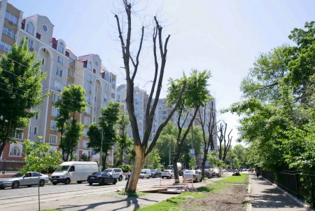 Французский бульвар переодевается и… оголяется (фоторепортаж) 