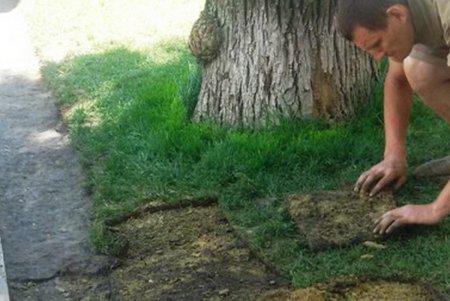 Стамбульский парк Одессы обновляет «прикид» (фото)