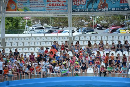 Одесские дети с особыми потребностями посетили шоу дельфинов и получили сертификаты для «общения» с ними (фото)