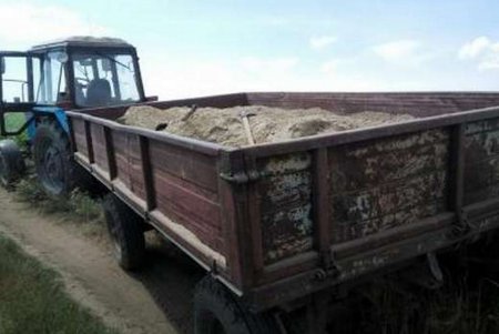 Пограничники пресекли незаконную добычу песка в Одесской области (фото)